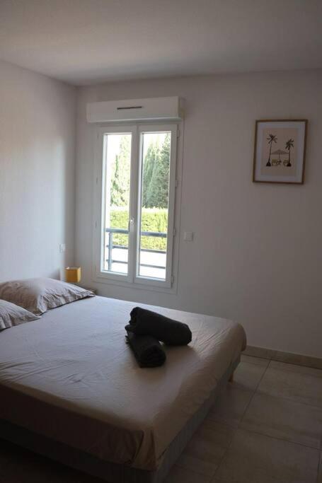 Suberbe Appartement Climatise Avec Terrasse Saint-Raphaël 外观 照片
