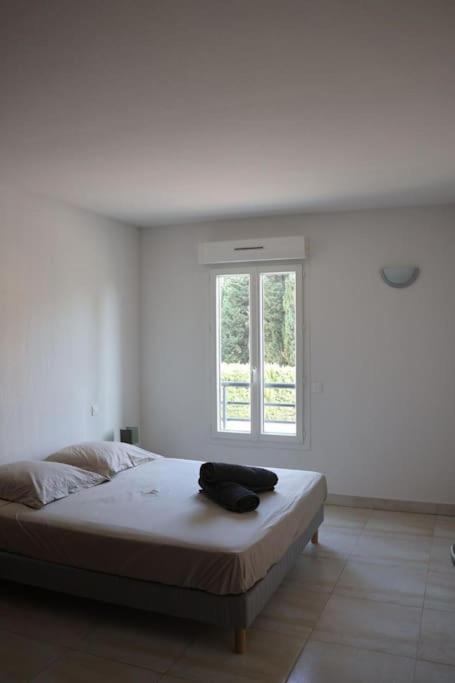Suberbe Appartement Climatise Avec Terrasse Saint-Raphaël 外观 照片